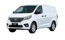 LDV G10
